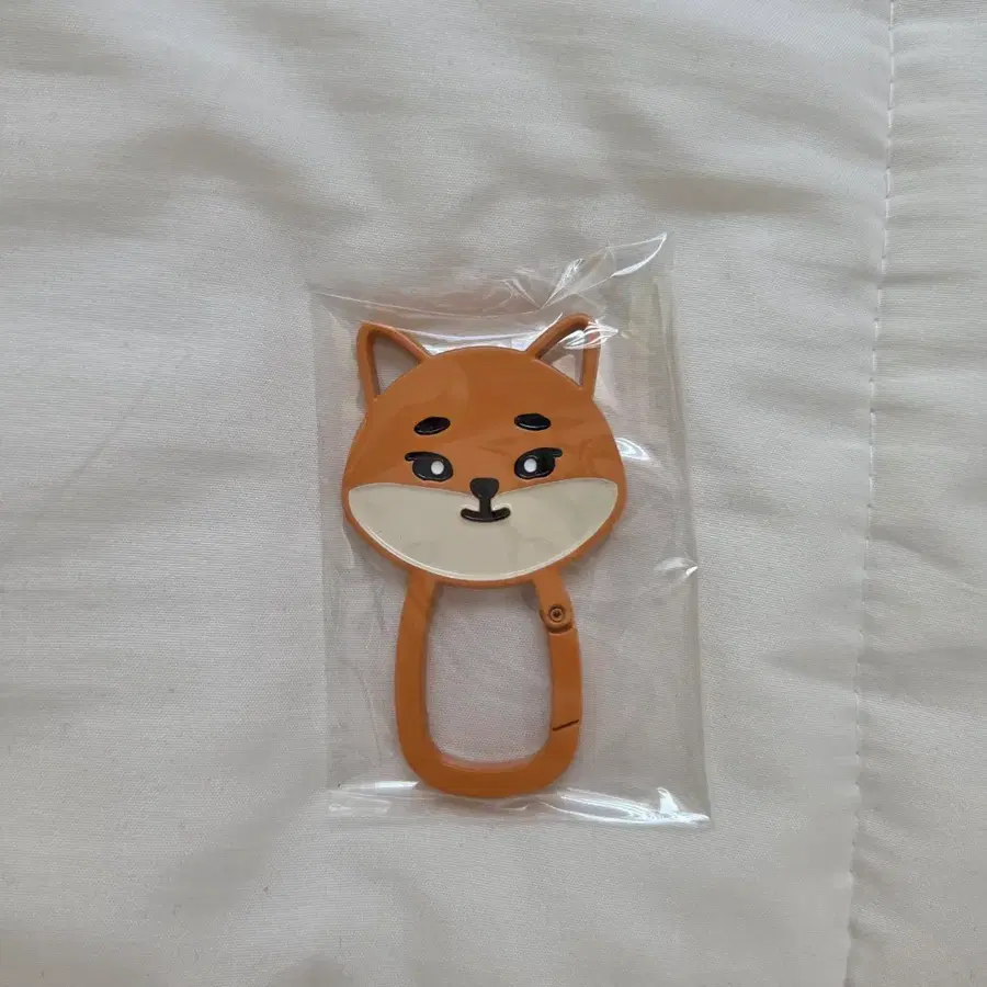 데이식스 케 카라비너