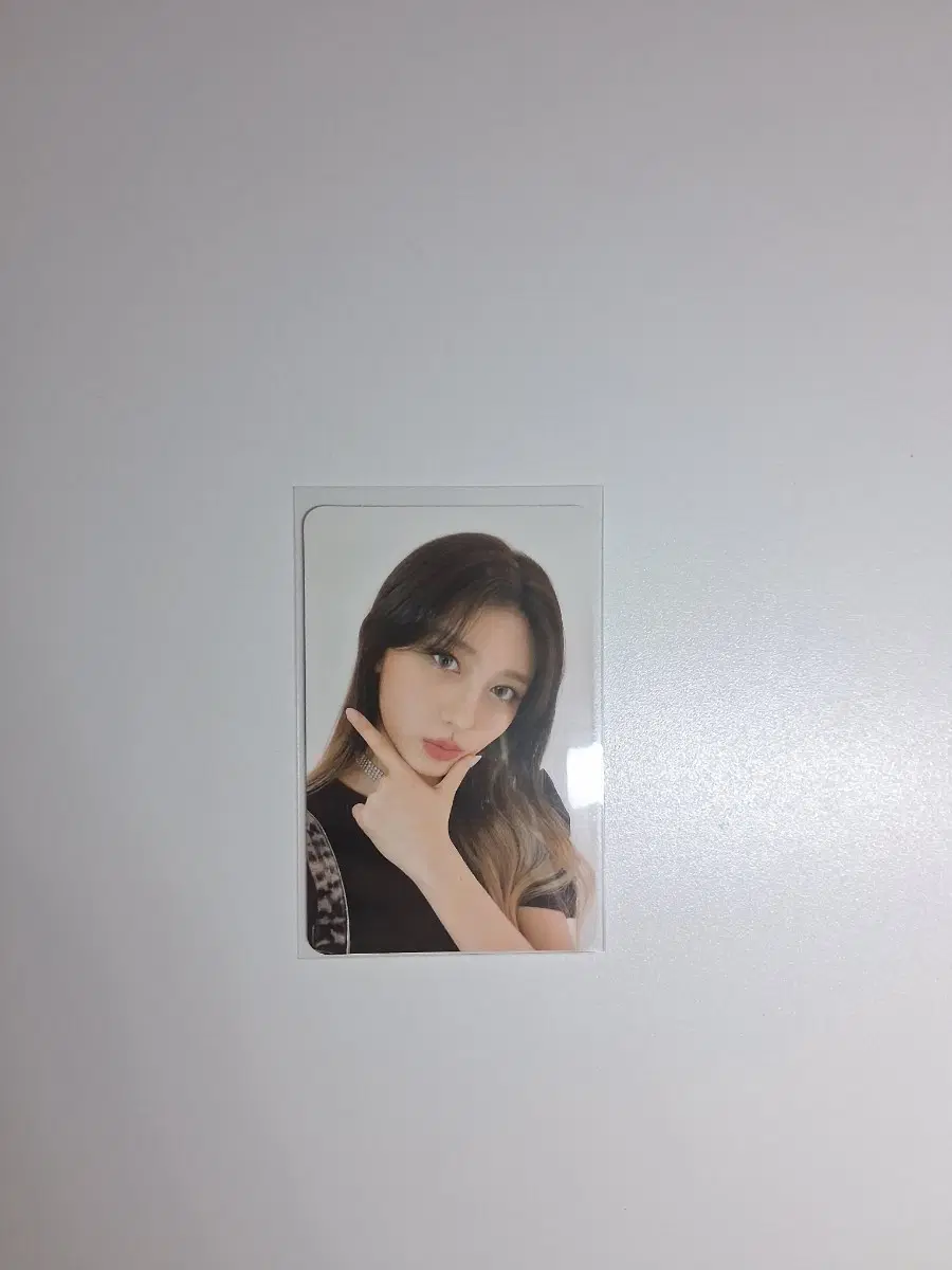 아이브 가을 일레븐 앨포