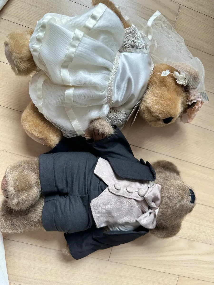 보이즈베어