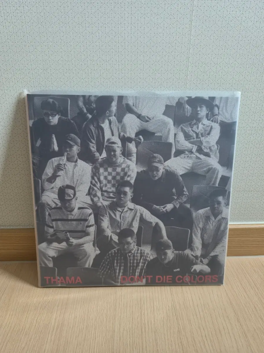 따마 LP don't die colors