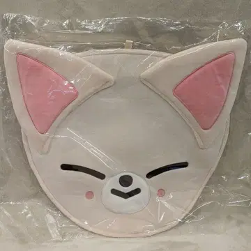 StrayKids 2023 MANIAC ENCORE inJAPAN I.N IMAGE PICKET CASE SKZOO