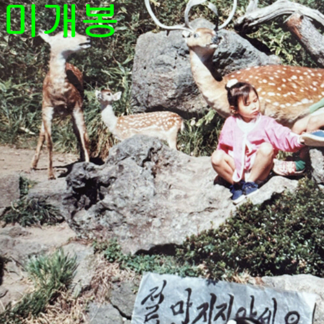 이하소 - 1집 / 지나고 보니 사랑이었던 것들 (미개봉, CD)