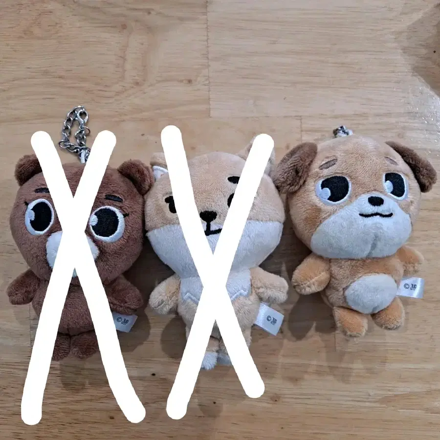 데이식스 방 케 돈 일본 백참 포에버영 요코하마 데니멀즈