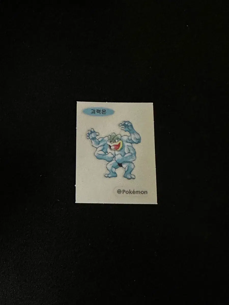 30주년 포켓몬 괴력몬 띠부실