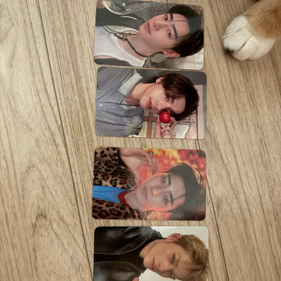 엔하이픈 블파 앨범 포카