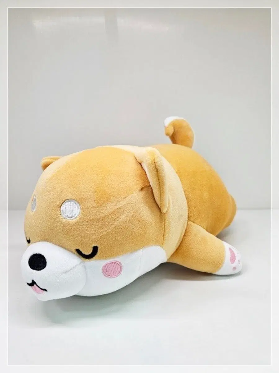 모찌시바 인형 2개 일괄
