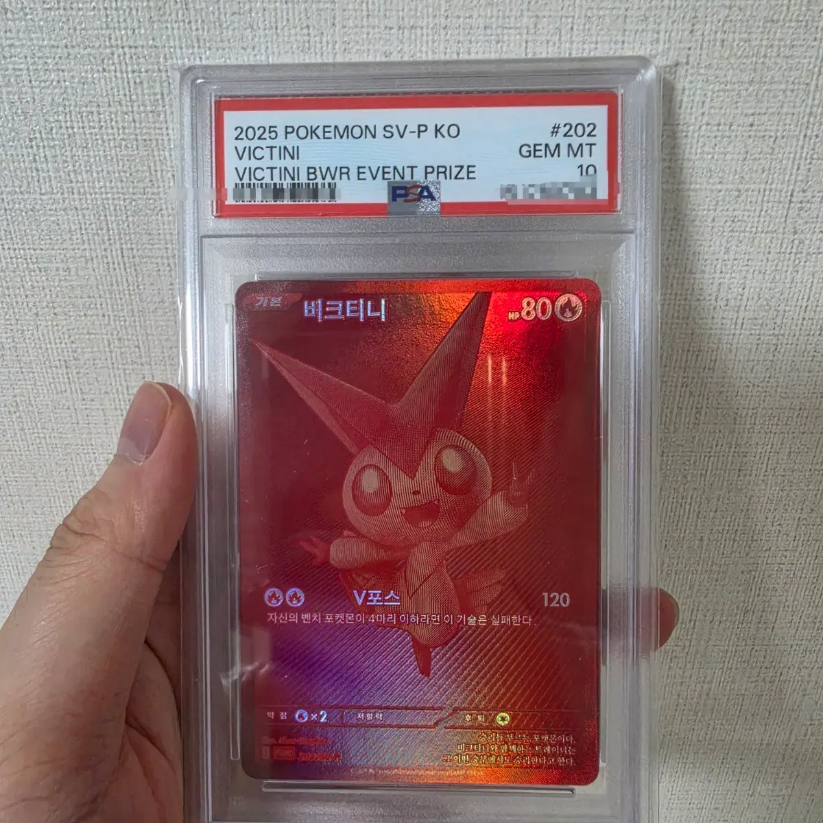 한판 비크티니 BWR PSA10