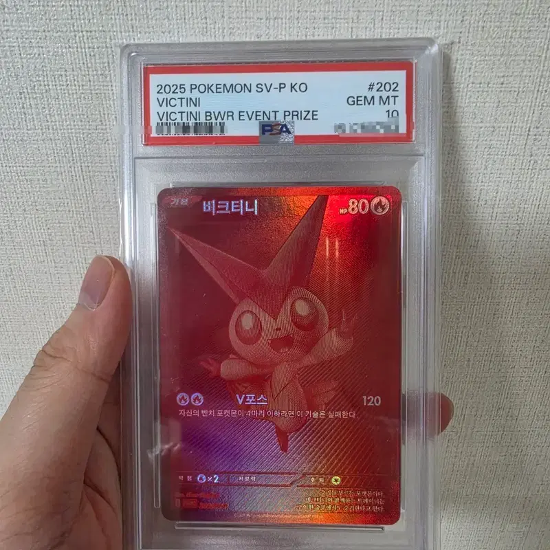 한판 비크티니 BWR PSA10