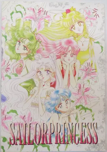 코단샤 1996년 (헤이세이 8년) 5월 나카요시 부록 타케우치 나오코 세일러문 프린세스 노트 199605