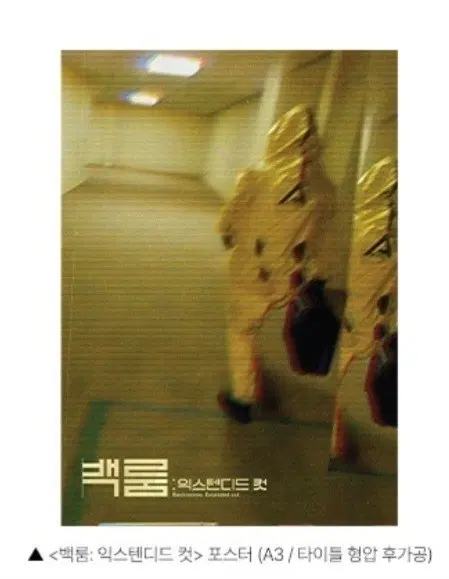 백룸 익스텐디드 컷 포스터3종 세트 판매