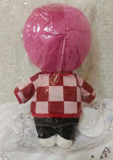N.Flying 페스 25cm 봉제 인형