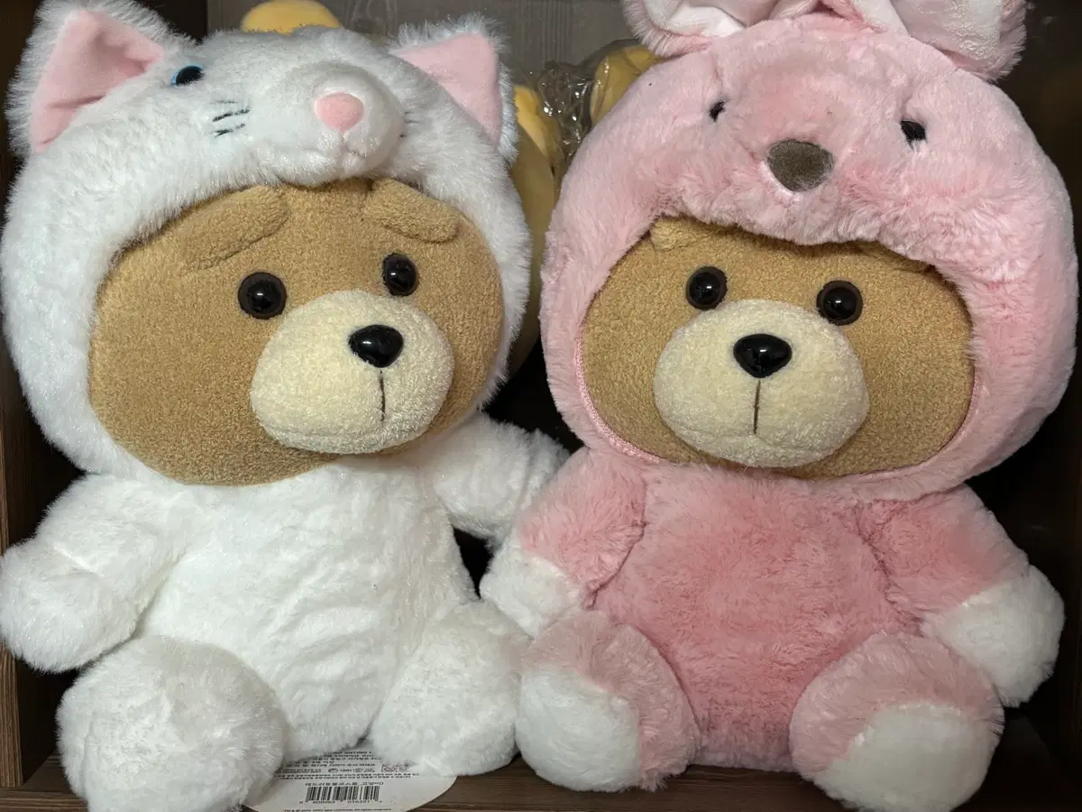 최저가) 곰돌이 인형 판매 19곰 테드