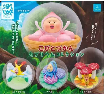 코비토즈칸 카프리움 컬렉션 전 4종 세트