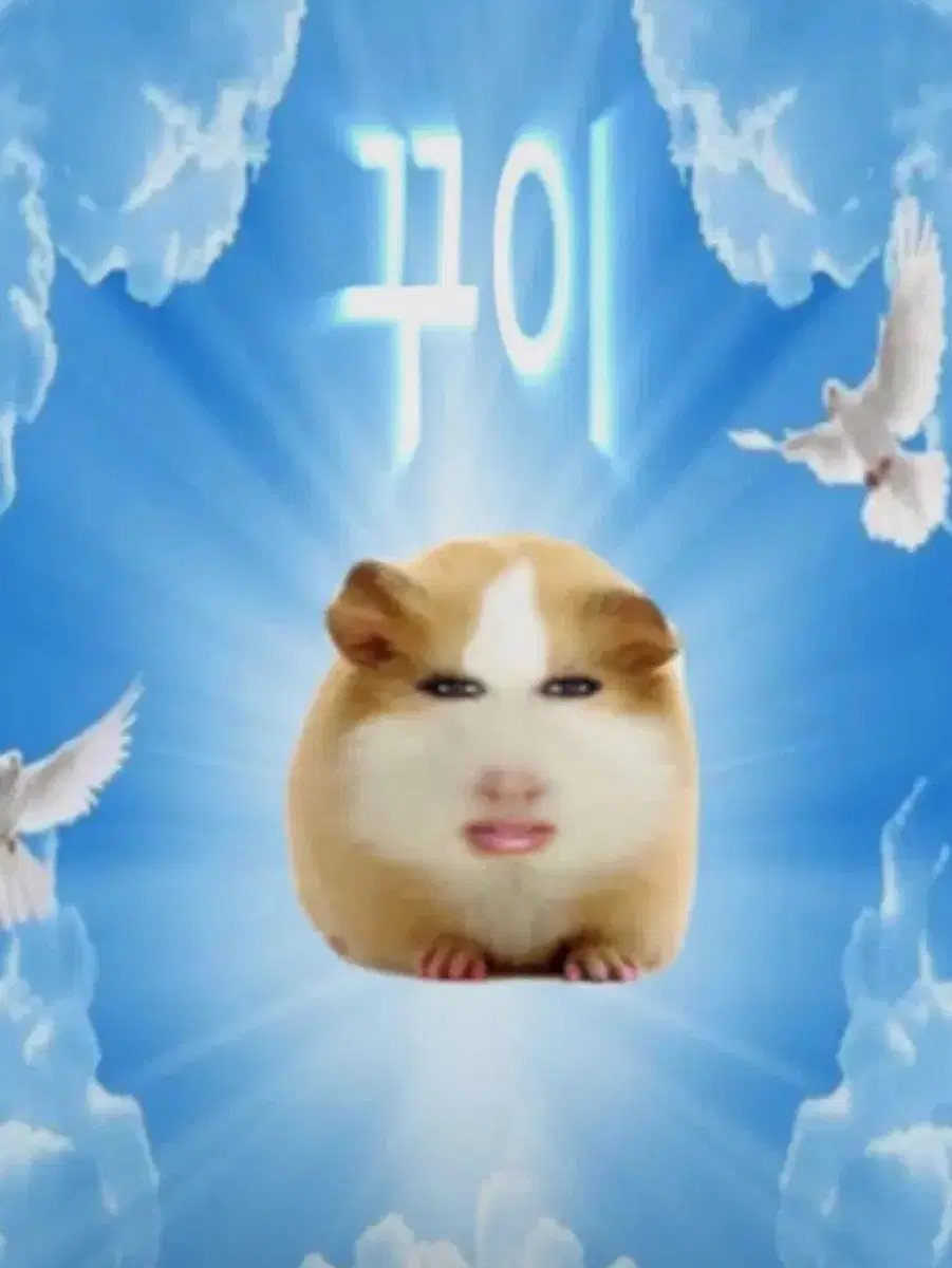 다꾸 스티커 처분