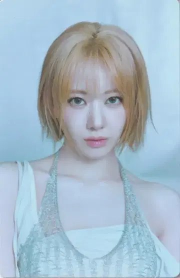 LE SSERAFIM MINI PHOTO CARD SAKURA 2026 PUREFLOW 04
