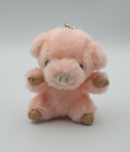 TAKENOKO 타케노코 돼지 키링