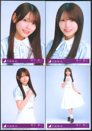 노기자카46 시비니 오보즈 모리히라 레이신 봉입 혜택 브로마이드 컴프