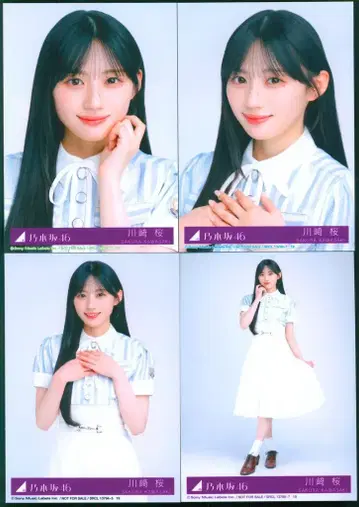 노기자카46 시비니 오보즈 카와사키 사쿠라 봉입 혜택 브로마이드 컴프