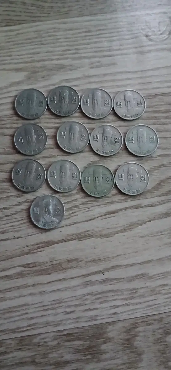 1977년100원동전13개