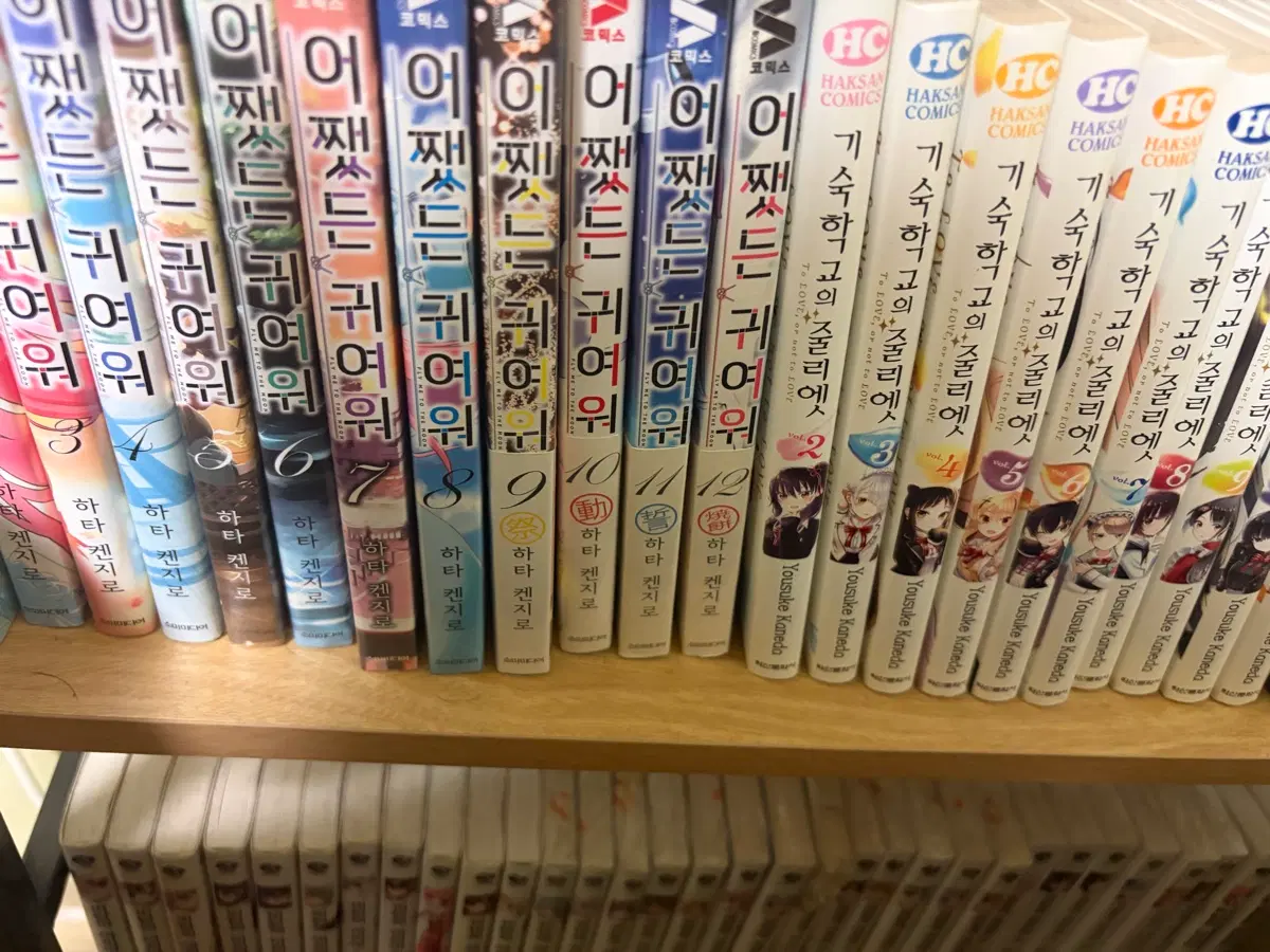 라노벨 전권 급처