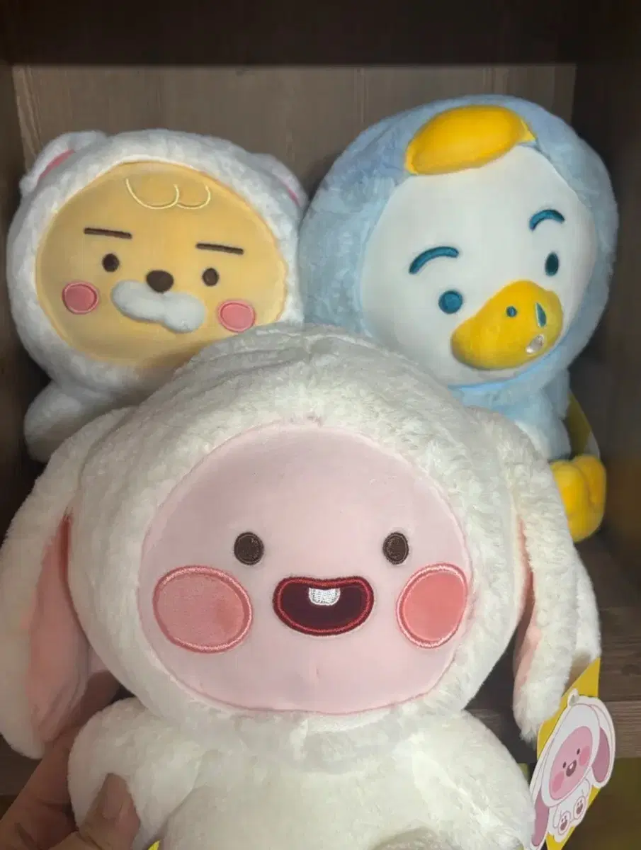 카카오프랜즈 인형 최처가 판매