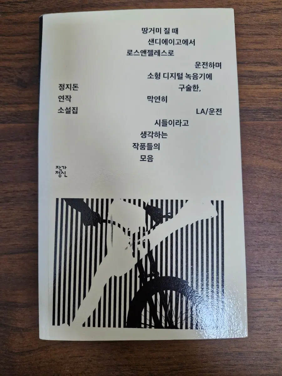정지돈 소설 땅거미 질 때