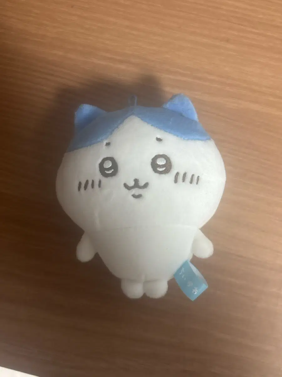 치이카와 하치와레 누이 인형
