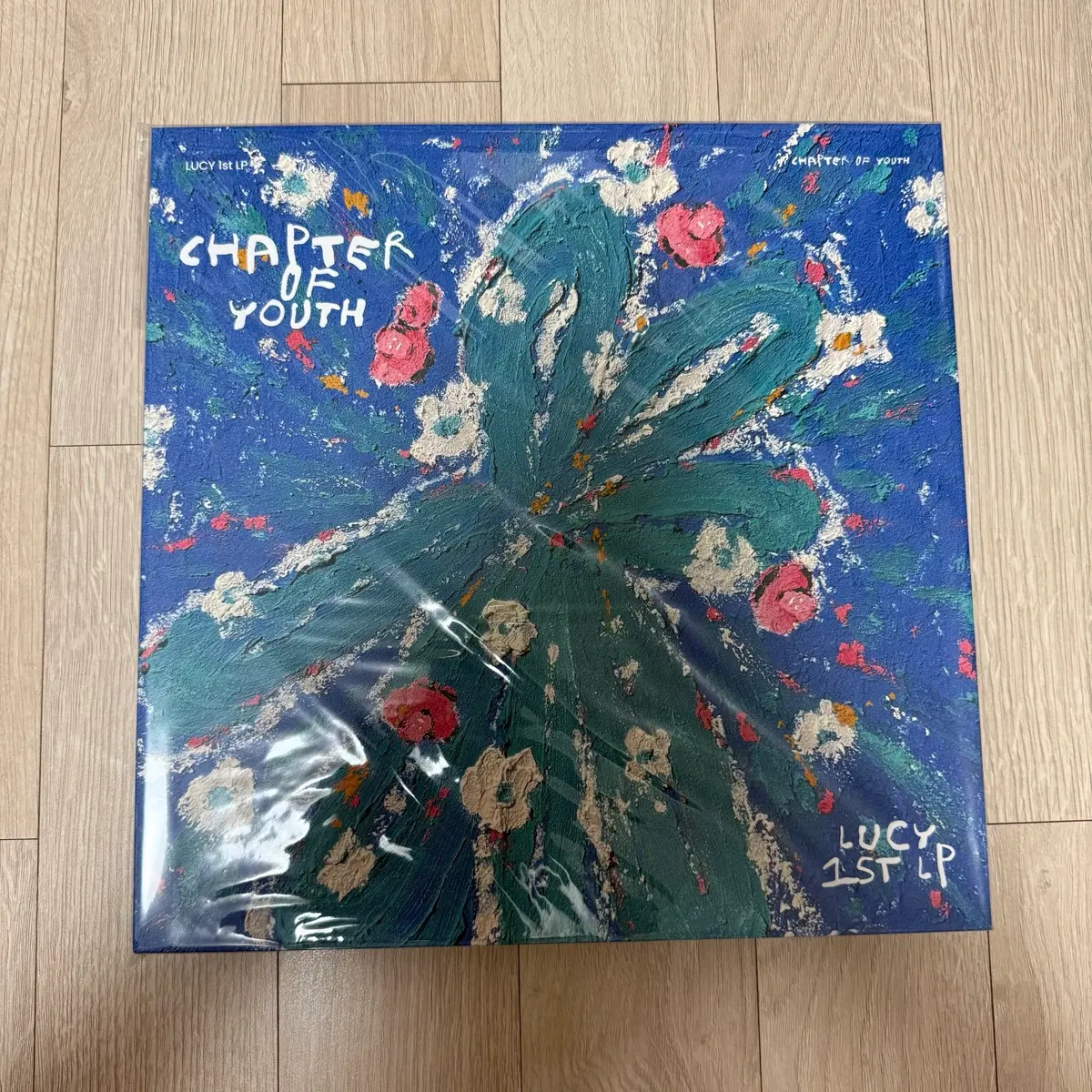 루시 Chapter of youth LP (개봉반)