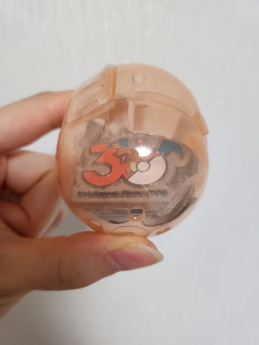 포켓몬 30주년 메탈참 메지루시 가챠 리자몽