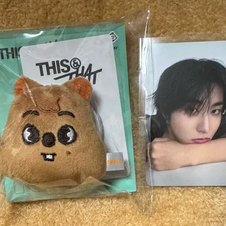 스키즈 THIS&THAT 팝업 스키주 마그네틱 홀더 + 특전포카(한)