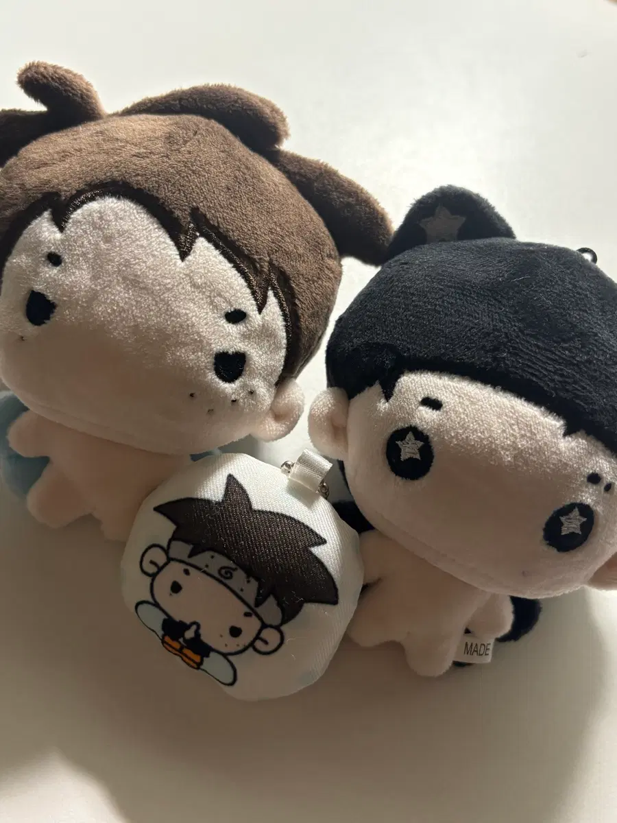 엔젤 또리비니 입니당