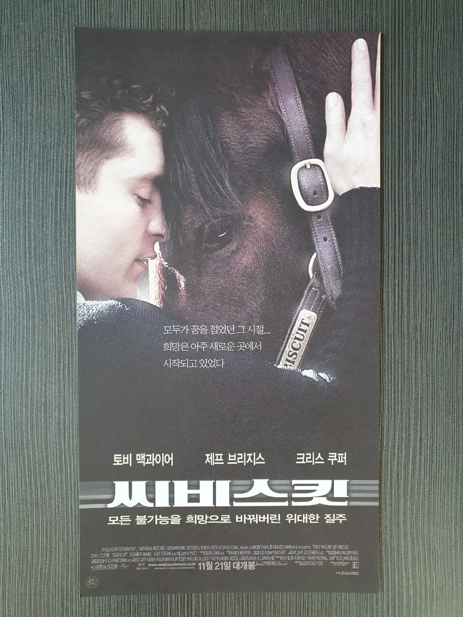 씨비스킷 영화 전단지 팜플렛
