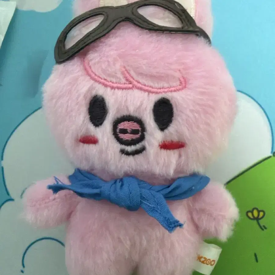 스키주 돼끼 파일럿