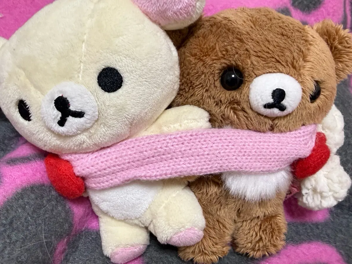 리락쿠마 챠이로이코구마 페어 인형 한정