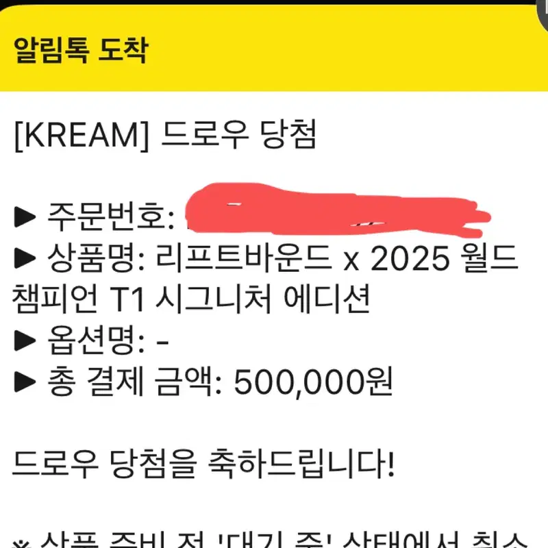 KREAM 리프트바운드 x 2025 월드 챔피언 T1 시그니처 에디션