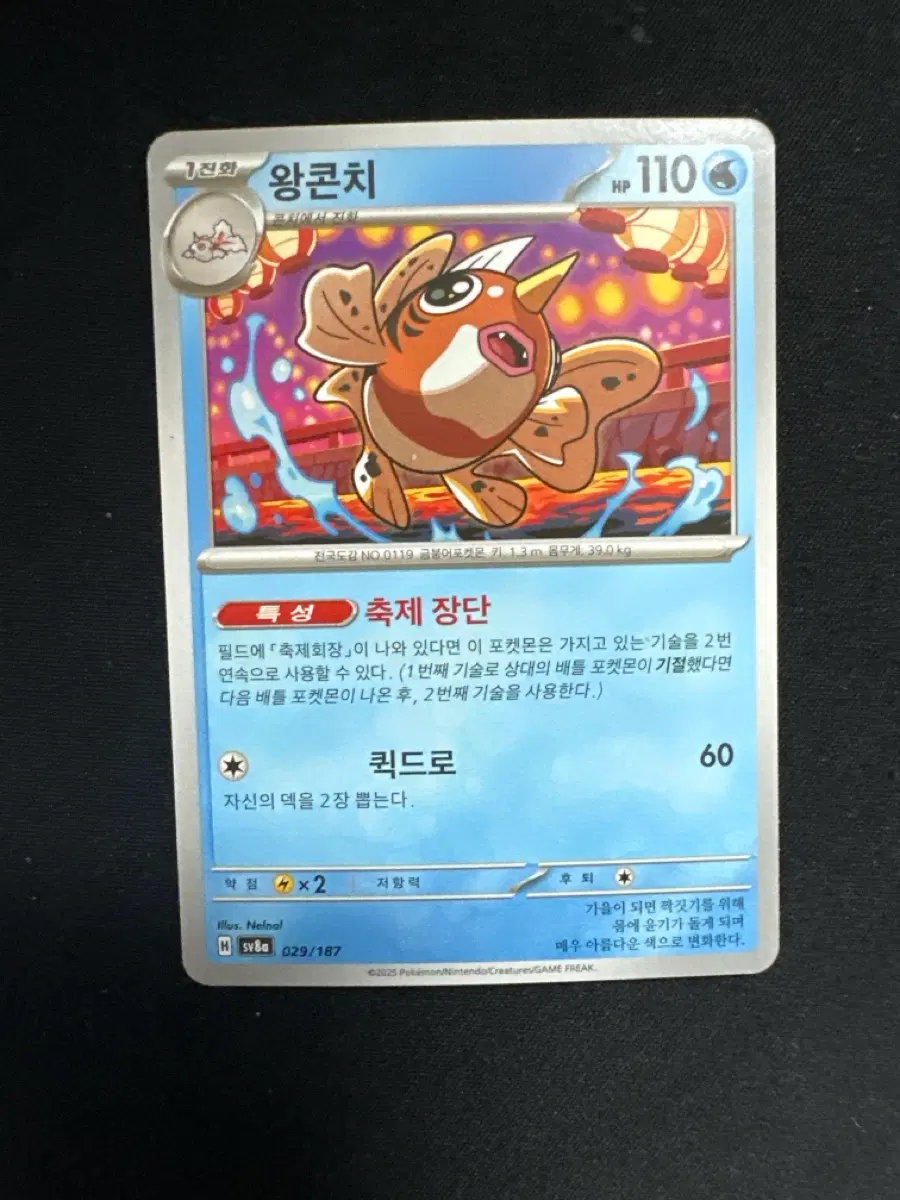포켓몬 카드 왕콘치 덱소스