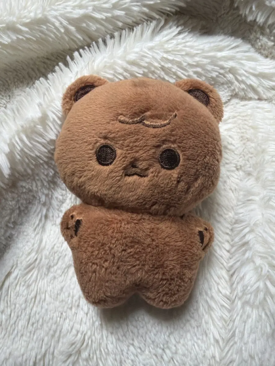 엔시티 해찬 인형 동쪼