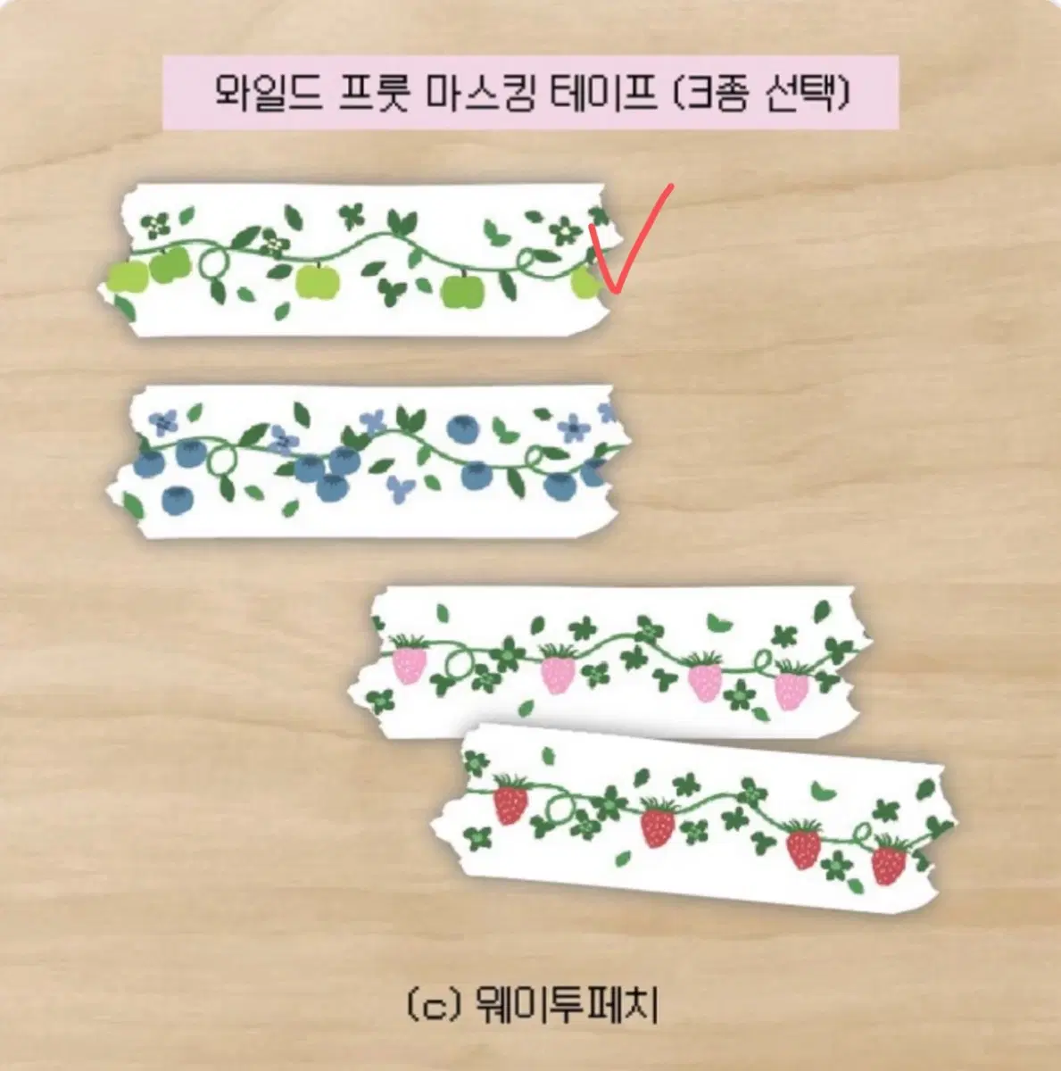 [웨이투페치] 와일드 프룻 마테 - 미니 그린 애플
