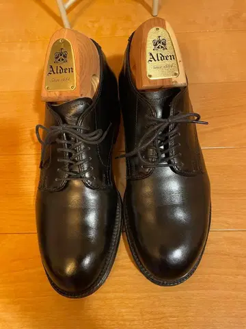레어 여성용 Alden 알든 플레인토 블랙
