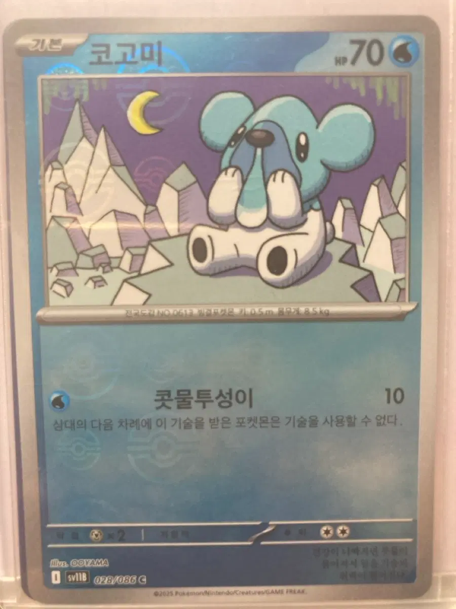 코곰곰, 툰베어 몬스터볼 홀로