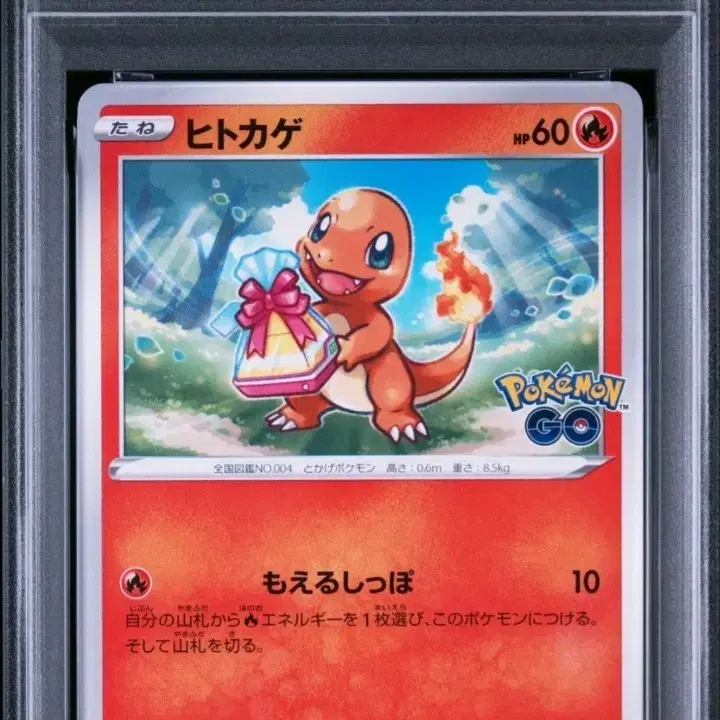 포켓몬카드 파이리 포켓몬고 프로모 PSA 10
