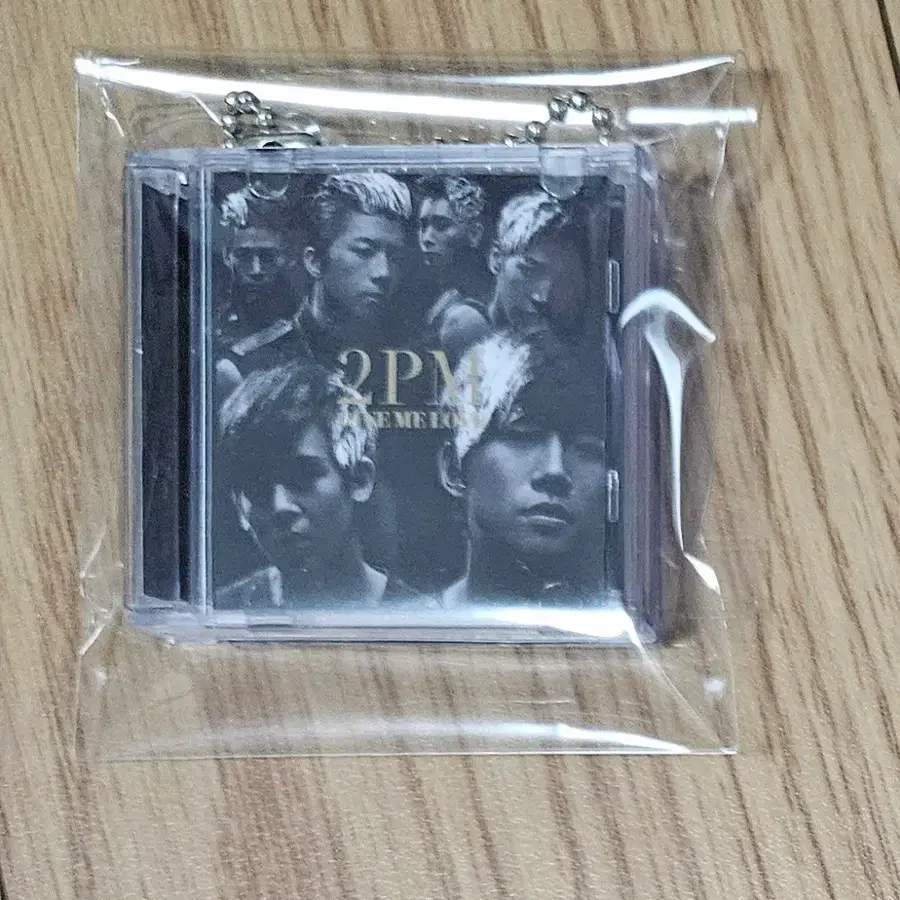 2PM 도쿄돔 미니 CD키링 반다이 가챠