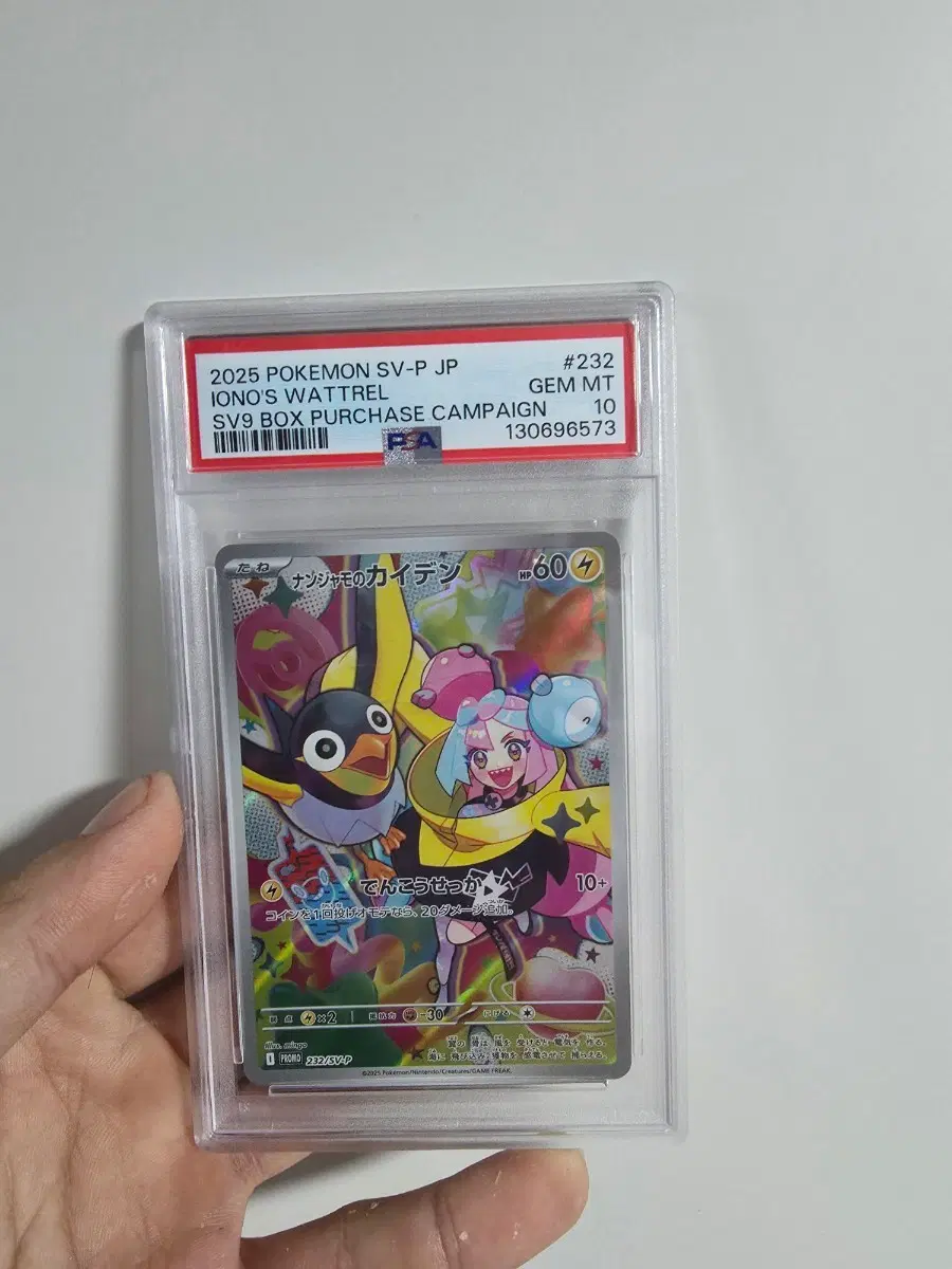 포켓몬카드 모야모의 찌리비 psa10 일판