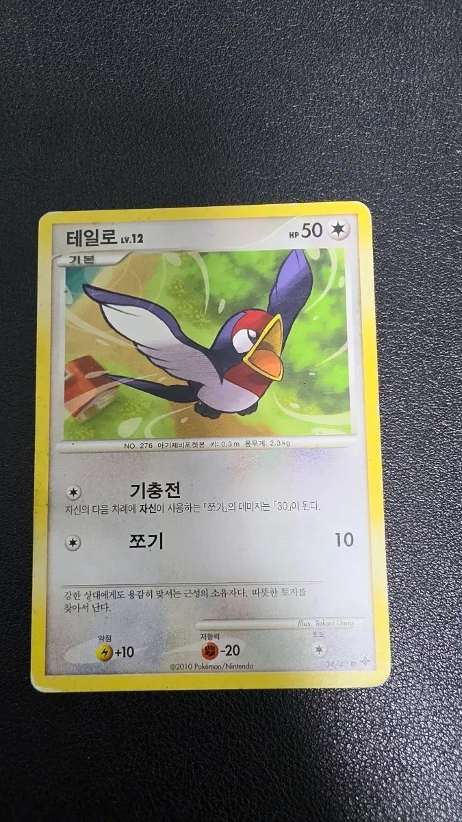 포켓몬 카드 테일로 LV.12 dp