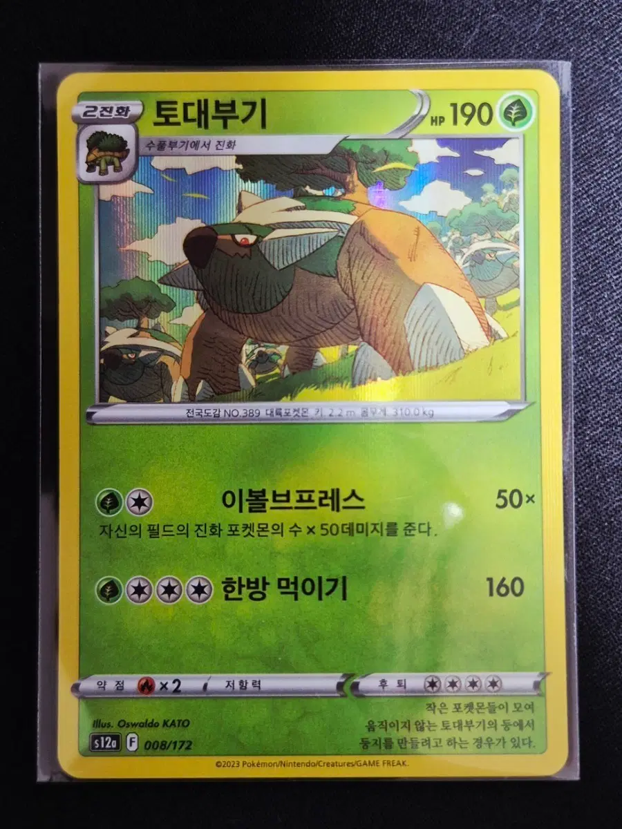 포켓몬카드 토대부기 s12a 008/172