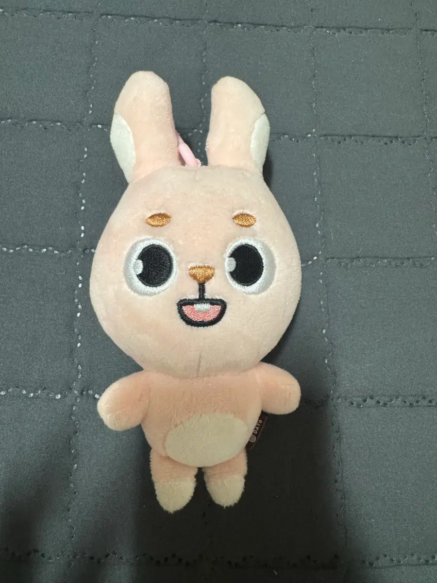 데이식스 데니멀즈 2024 필