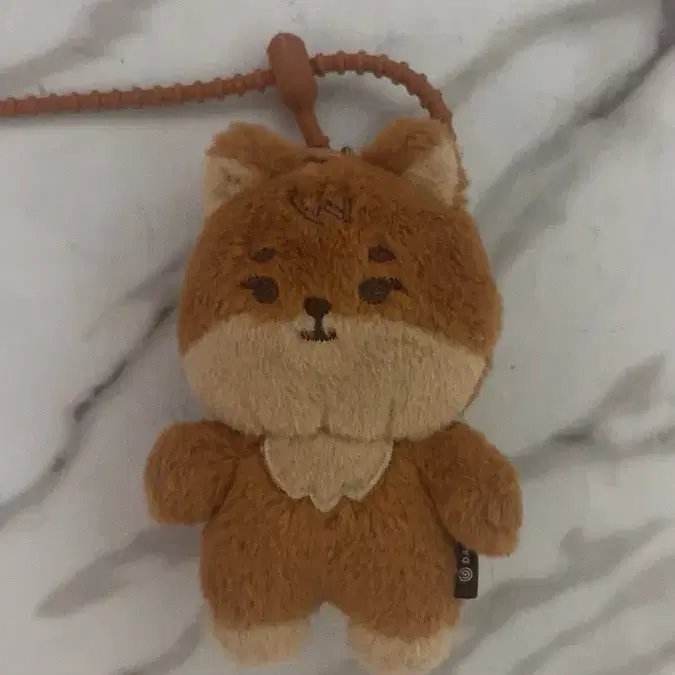 데이식스 영케이 태닝케 양도