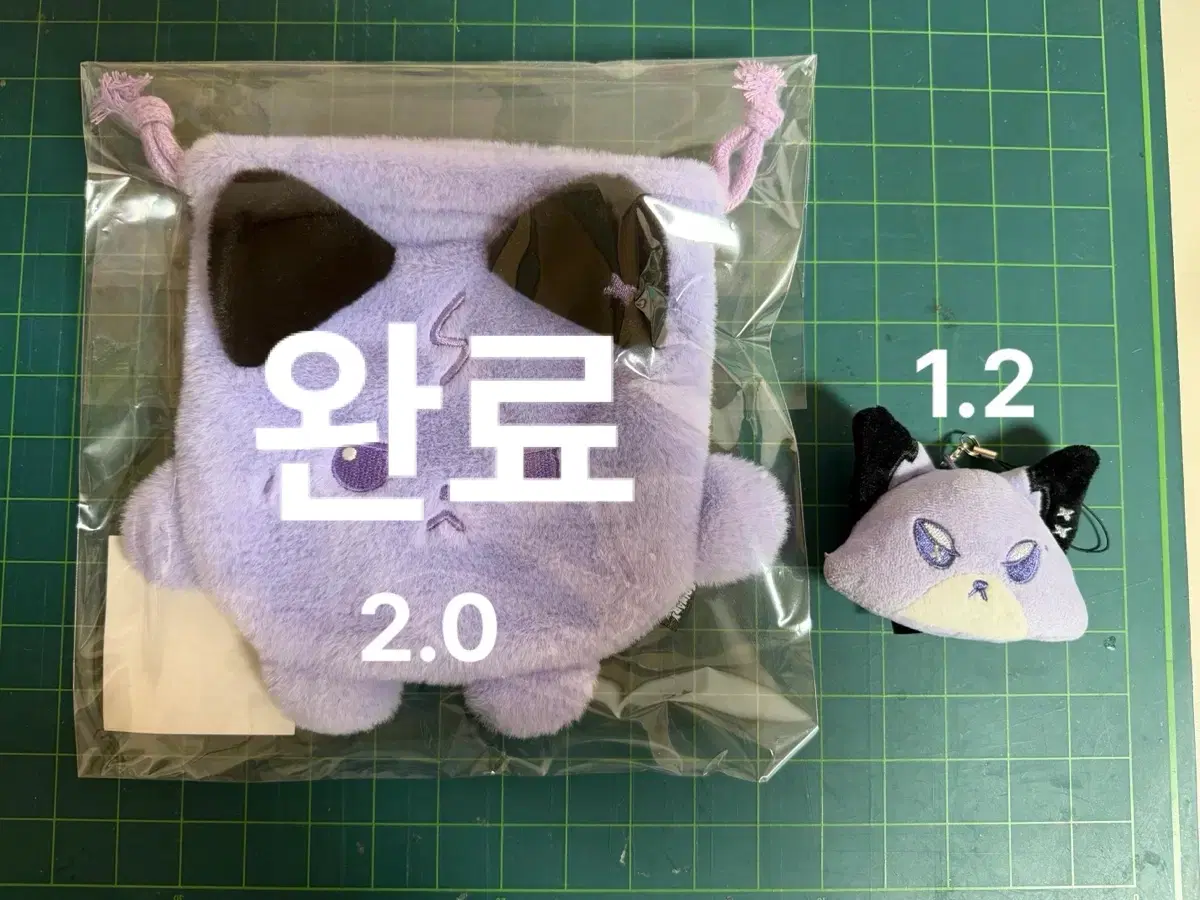 엑디즈 폭드 오드