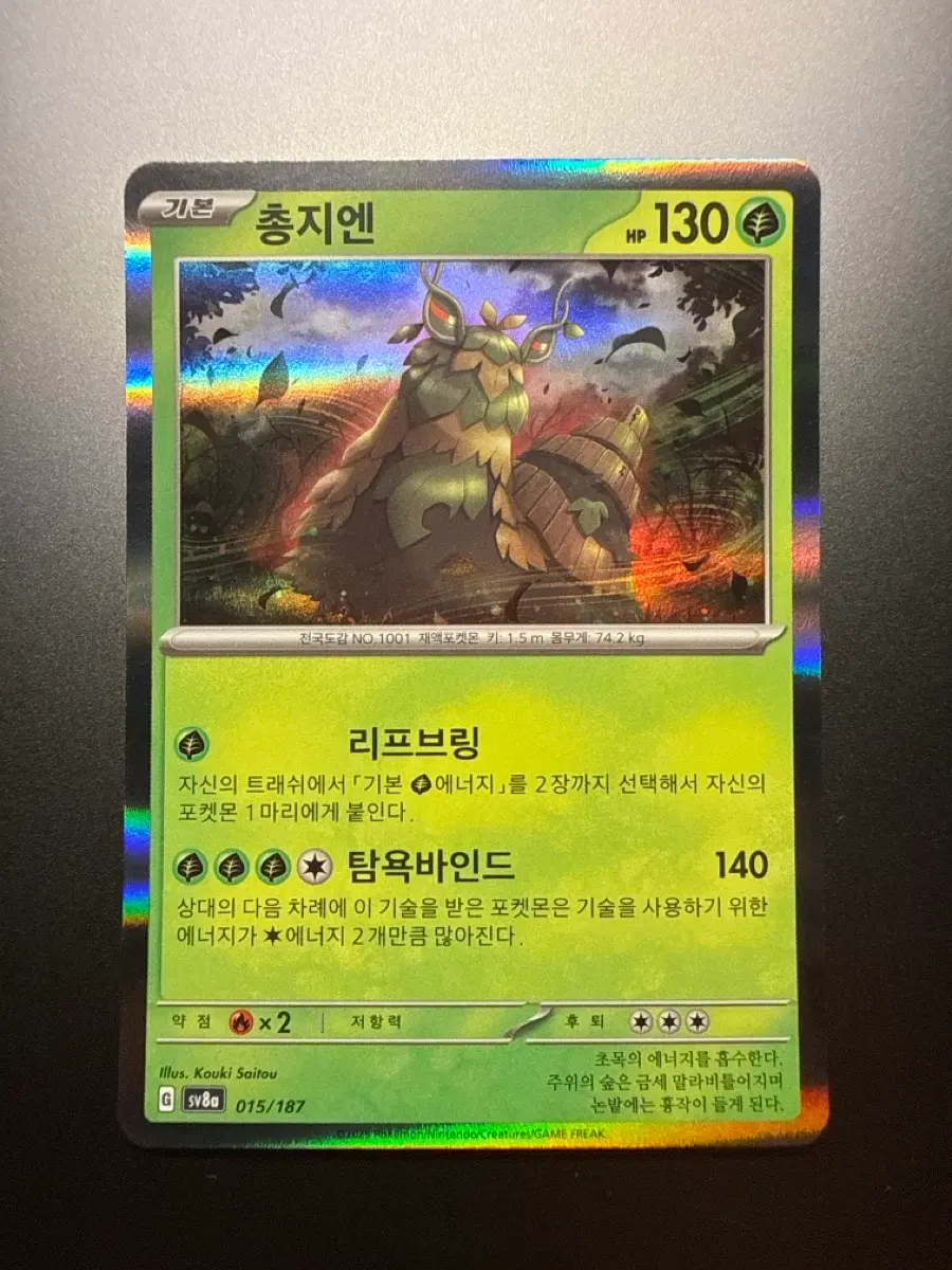 포켓몬 카드 총지엔 r