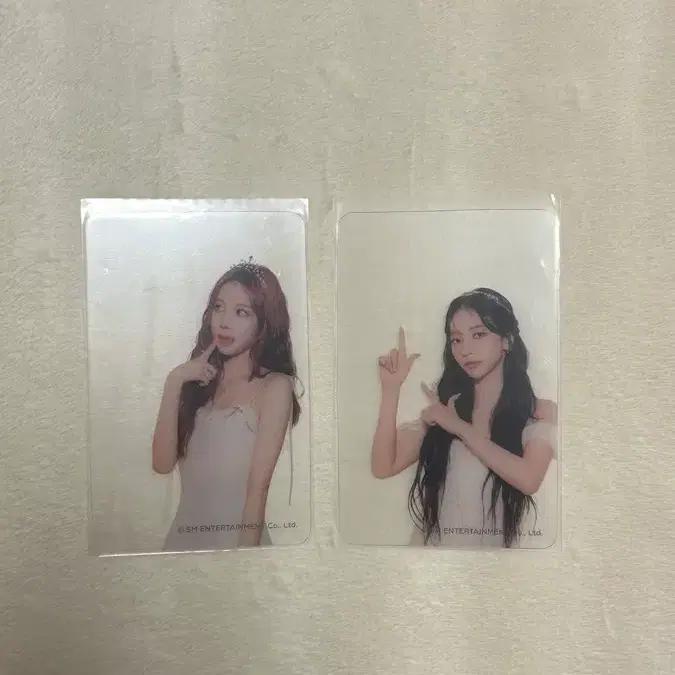 2023시그 윈터 카리나